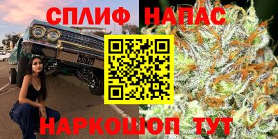 ГАЛЛЮЦИНОГЕННЫЕ ГРИБЫ Тверь