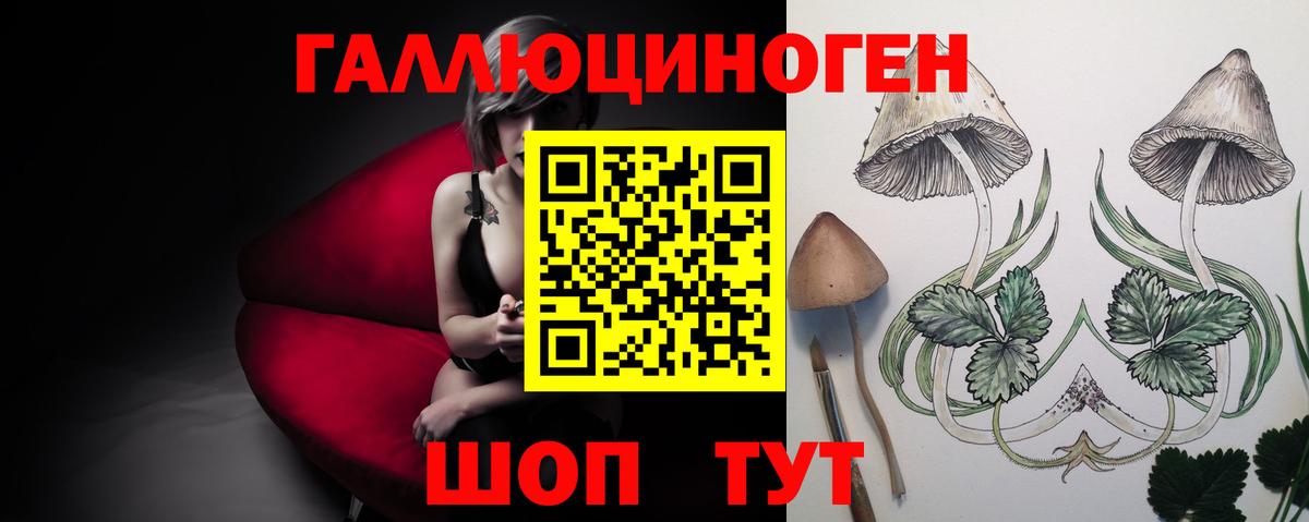 Псилоцибиновые грибы мицелий Новошахтинск